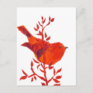 Cutest Red Bird on the planet Postcard