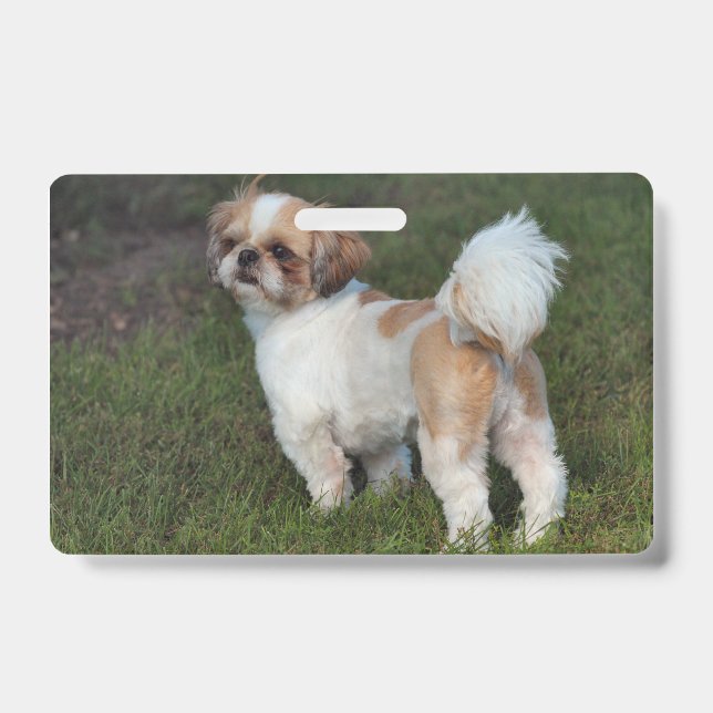 Cutest Shih Tzu ID Badge (Front)