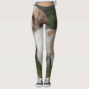 Cutest Shih Tzu Leggings