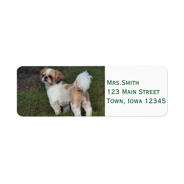 Cutest  Shih Tzu Return Address Label (Front)