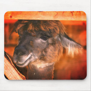 Cutey Llama Animal Mouse Pad