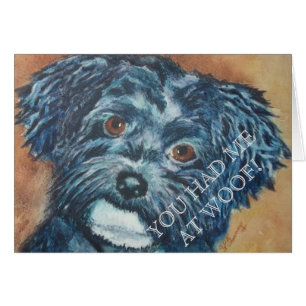 CUTIE BLACK HAVANESE