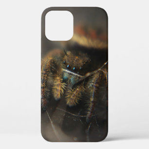 cutie iPhone 12 case
