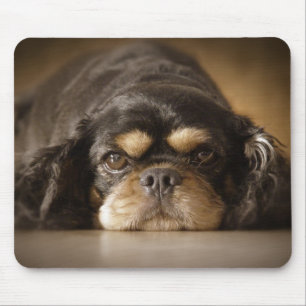 Cutie Cav! Mouse Pad