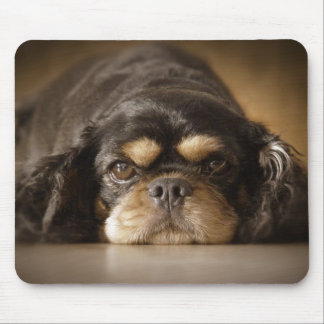 Cutie Cav! Mouse Pad