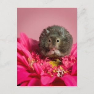 Cutie in a flower postcard