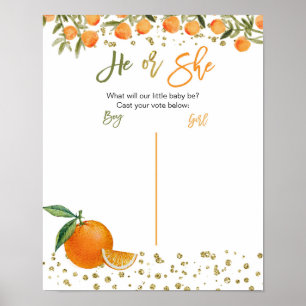Cutie Orange Citrus gender reveal voting board Poster