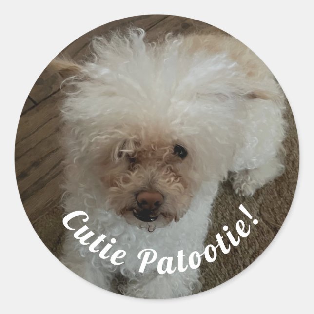 Cutie Patootie Classic Round Sticker (Front)