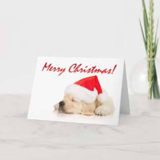 Cutie Pie! Cute Santa Puppy Merry Christmas Holiday Card