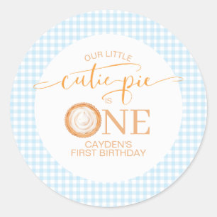 Cutie Pie pumpkin pie blueplaid First Birthday Classic Round Sticker