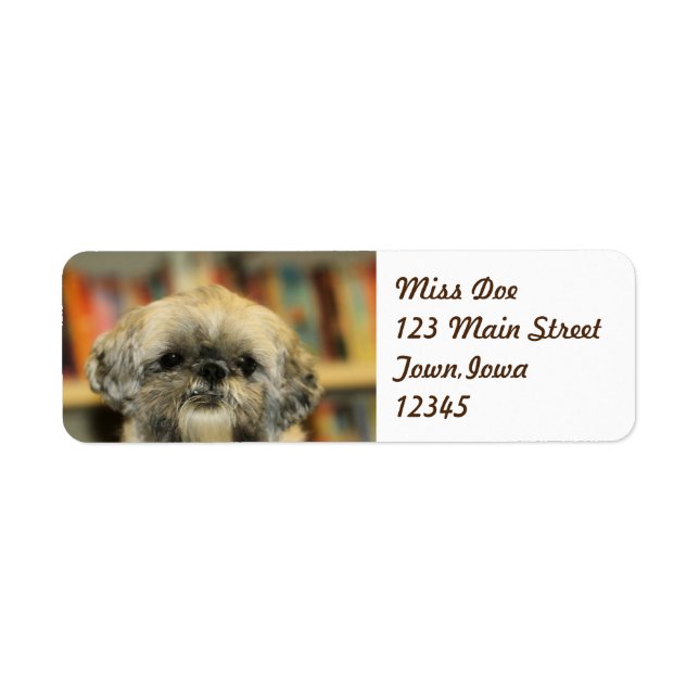 Cutie Return Address Label (Front)