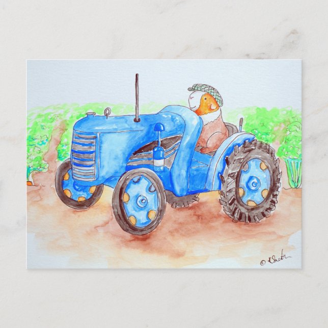 Cutie the Farmer Guinea Pig Painting Postcard (Front)