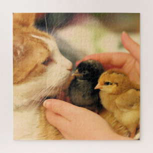 Cuties    jigsaw puzzle