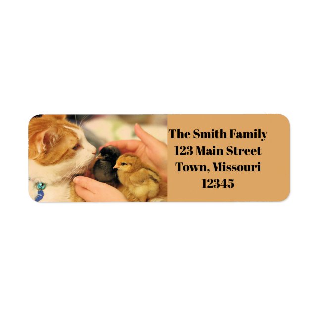 Cuties Return Address Label (Front)