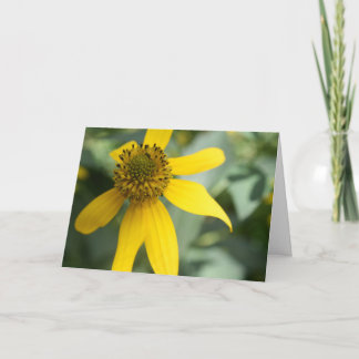 Cutleaf Coneflower (Rudbeckia laciniata) Card