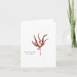 Cutleaf Japanese Maple Leaf Card