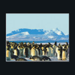 Cutout Artistic Vintage Penguins Postcard<br><div class="desc">Cutout Artistic Vintage Penguins</div>