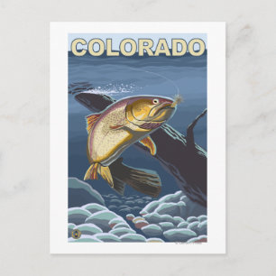 Cutthroat Trout FishingColorado Postcard