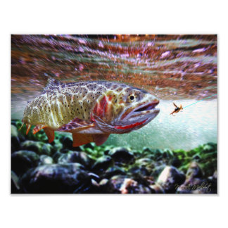CUTTHROAT TROUT PHOTO PRINT