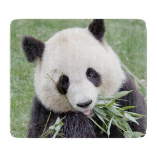 Cutting Board Photo giant panda , animals 0146.