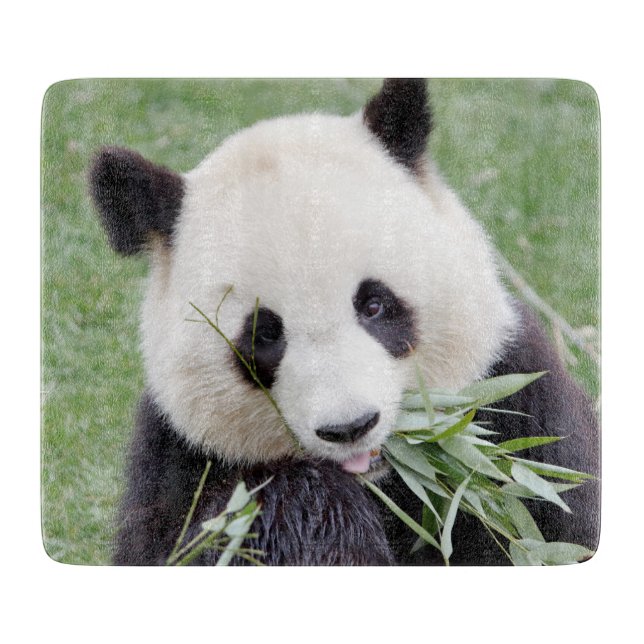Cutting Board Photo giant panda , animals 0146. (Front)