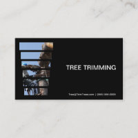Cutting Down A Tree Trimmers
