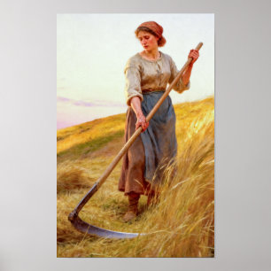 Cutting Hay Poster