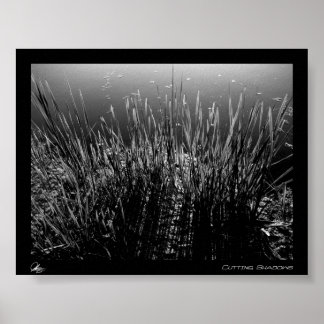 Cutting Shadows Poster