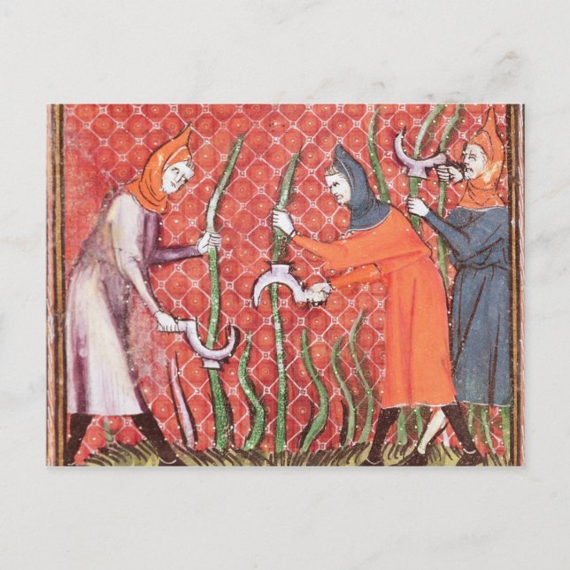 Cutting Trees, from Ovide Moralise Postcard (Front)