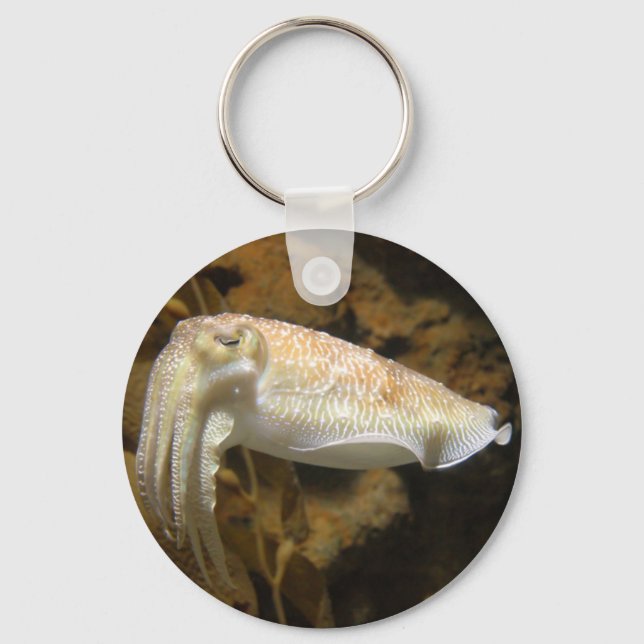 Cuttlefish Key Ring (Front)