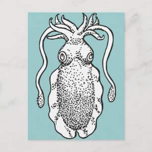 Cuttlefish Postcard