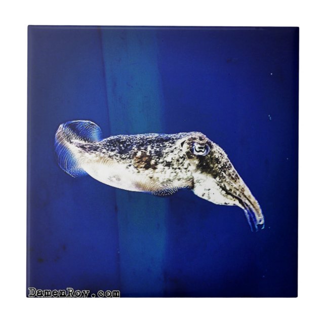 Cuttlefish Tile (Front)