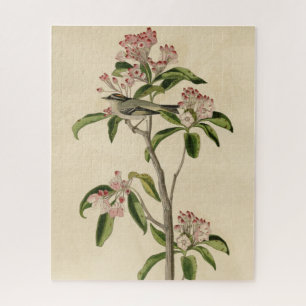 Cuvier's Kinglet (Cuvier's Regulus) Audubon Birds Jigsaw Puzzle