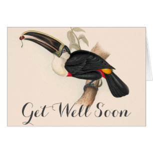 Cuviers Toucan Print: Vintage Tropical Bird