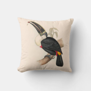 Cuviers Toucan Print: Vintage Tropical Bird Cushion