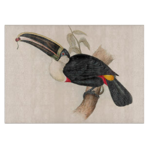 Cuviers Toucan Print: Vintage Tropical Bird Cutting Board