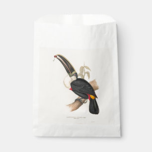 Cuviers Toucan Print: Vintage Tropical Bird Favour Bag