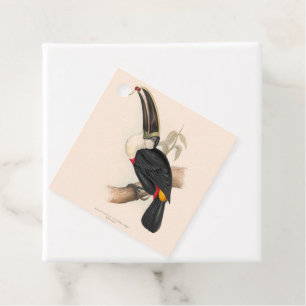 Cuviers Toucan Print: Vintage Tropical Bird Favour Tags