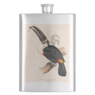 Cuviers Toucan Print: Vintage Tropical Bird Hip Flask