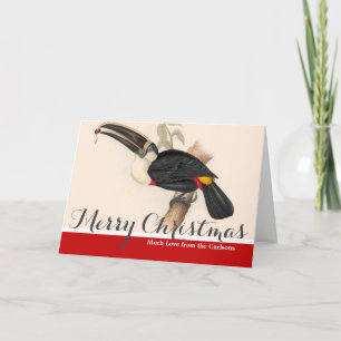 Cuviers Toucan Print: Vintage Tropical Bird Holiday Card