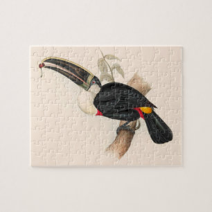 Cuviers Toucan Print: Vintage Tropical Bird Jigsaw Puzzle