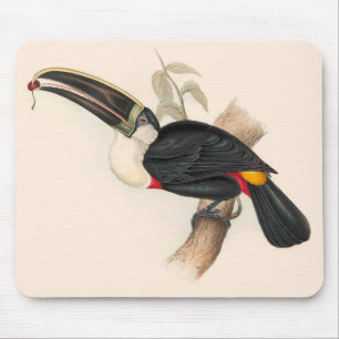 Cuviers Toucan Print: Vintage Tropical Bird Mouse Pad