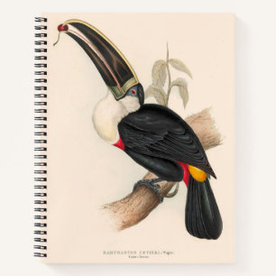 Cuviers Toucan Print: Vintage Tropical Bird Notebook