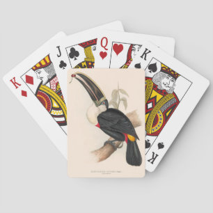 Cuviers Toucan Print: Vintage Tropical Bird Playing Cards
