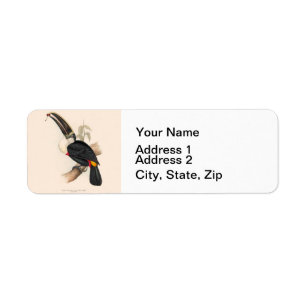Cuviers Toucan Print: Vintage Tropical Bird Return Address Label