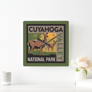Cuyahoga Valley National Park Ohio Square Wall Clock