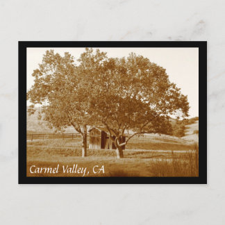 CV summer shed Postcard