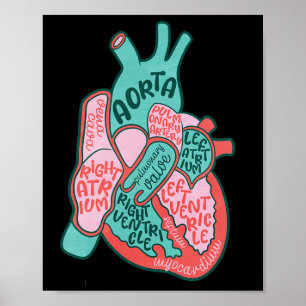 Cvicu Cardiac Nurse Human Heart Anatomy Cardiology Poster