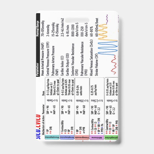 CVICU SICU ICU Badge Buddy ID Badge (Front)
