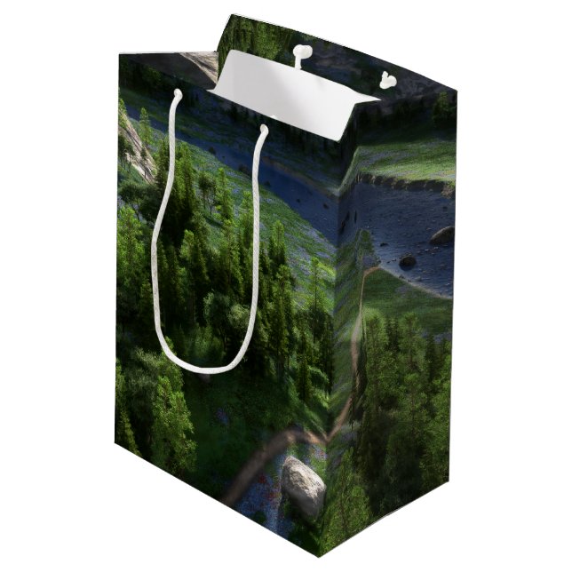 Cwm Solitude Gift Bag (Back Angled)